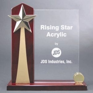Acrylic Award Rising Star