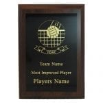 Volleyball Cherry Finish Plaque
