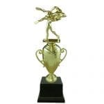 Wrestling Trophy Cup Award