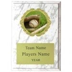 Baseball Plaque with Insert