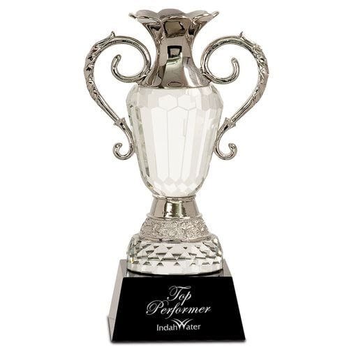 Elegant Crystal Cup Awards