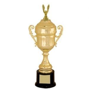 Economy Cup Trophy Awards