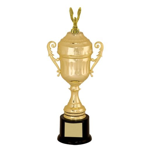 Economy Cup Trophy Awards