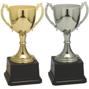 Zinc Trophy Cup Award