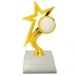 Gold Star Volleyball Trophies