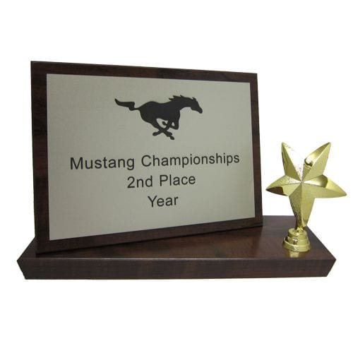 Standing Plaque Sports Award