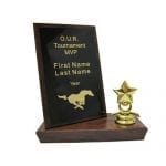 Small Standing Plaque Trophies