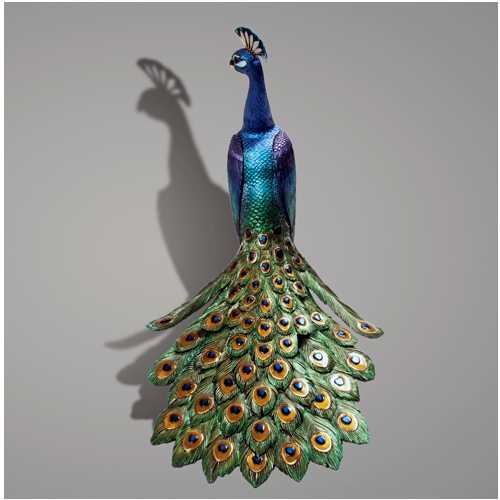 The Peacock back view