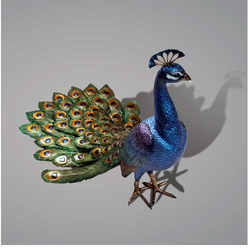 The Peacock side view