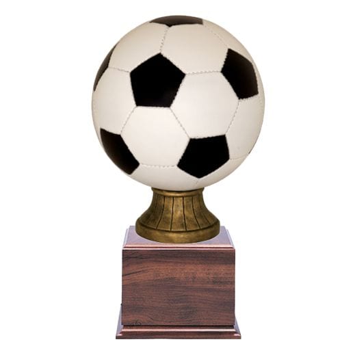 Soccer Tournament Trophy