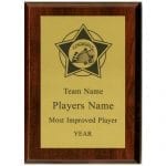 Volleyball Star Plaque