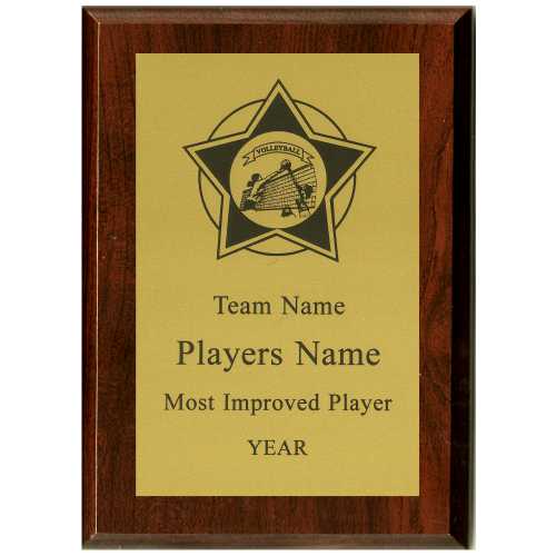 Volleyball Star Plaque