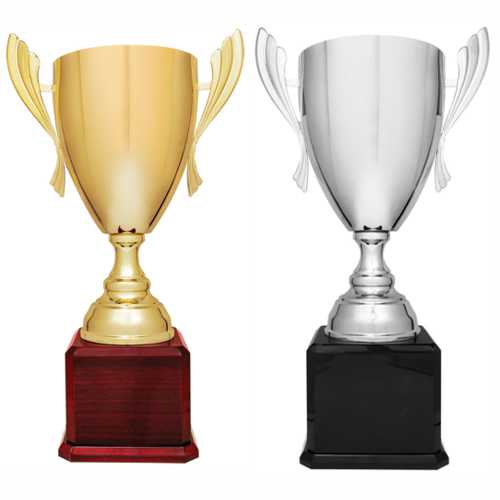 Any Sport Trophies Silver & Red Metal Cup Award 5 sizes available FREE Engraving 