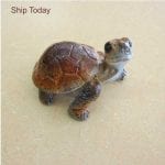 Baby Turtle Figurine Daden Jr