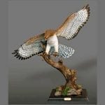 Bronze Hawk Statue