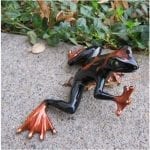Frog Figure Hot Rod Black Orange