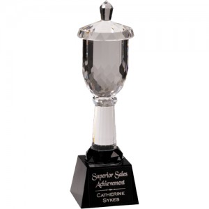 crystal_cup_award_1