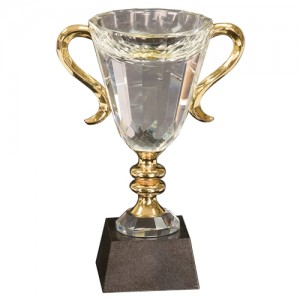 crystal_cup_awards_1