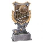 Volleyball Shield Award